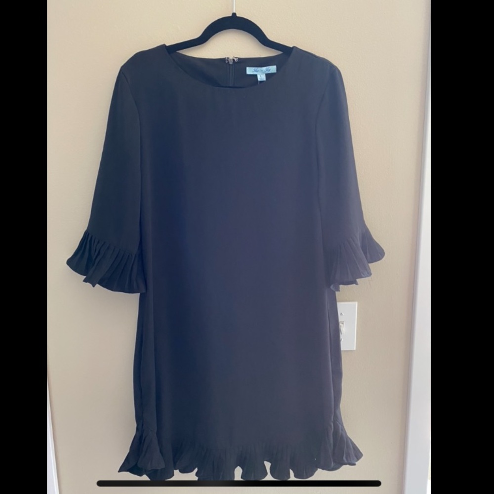 NWT • She + Sky Black Pleated Ruffle Dress. OBO